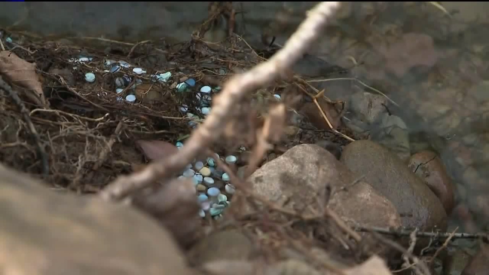 Debris Found in Monroe County Creek