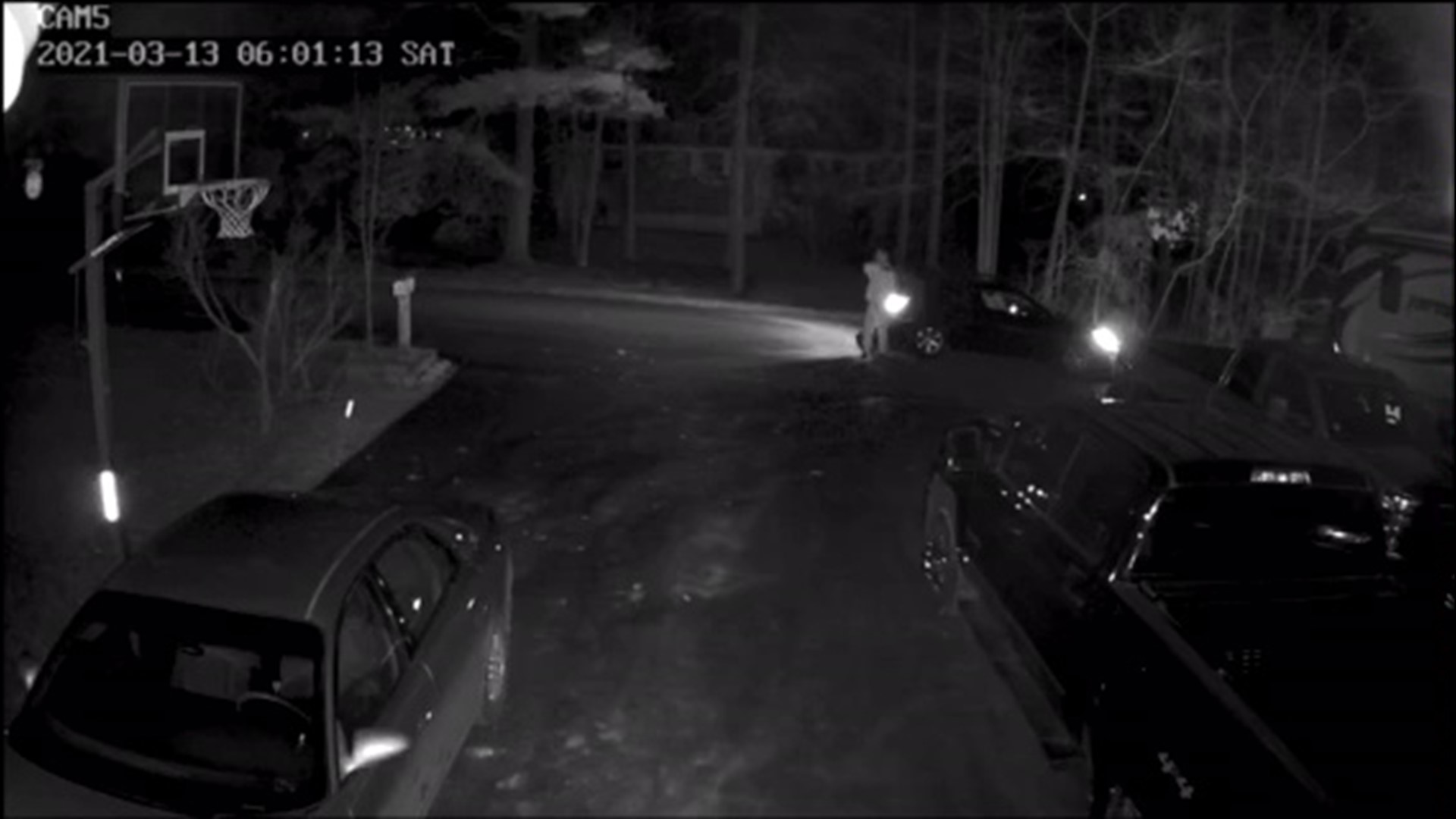 Car and home windows damaged by BB gun pellets | wnep.com