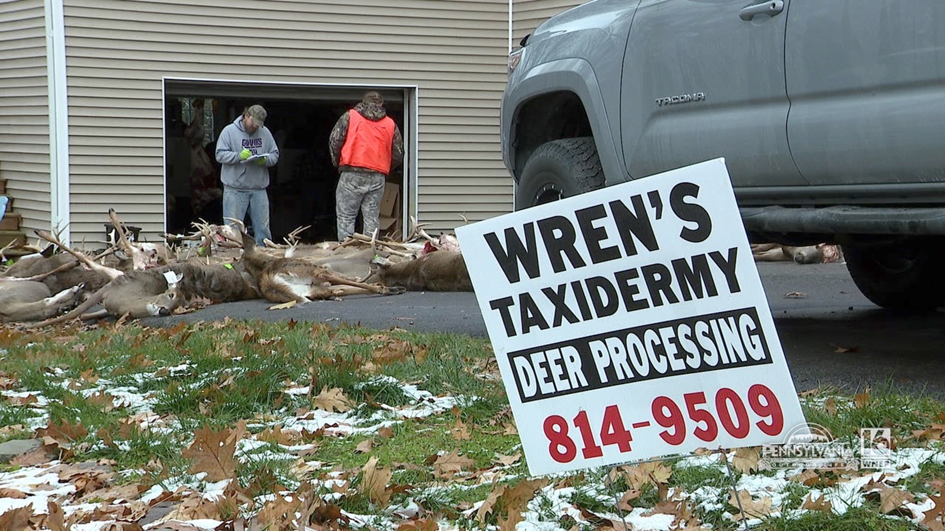 Wren's Taxidermy & Deer Processing