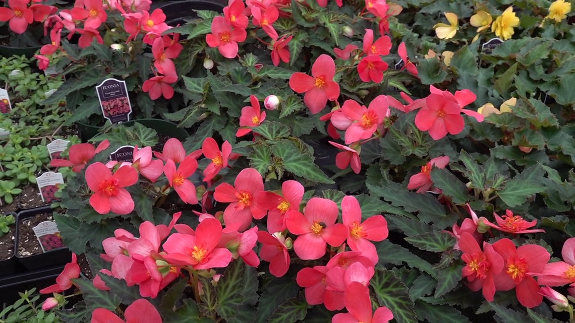 'Trust the calendar, not Mother Nature': Farmer warns planters of ...