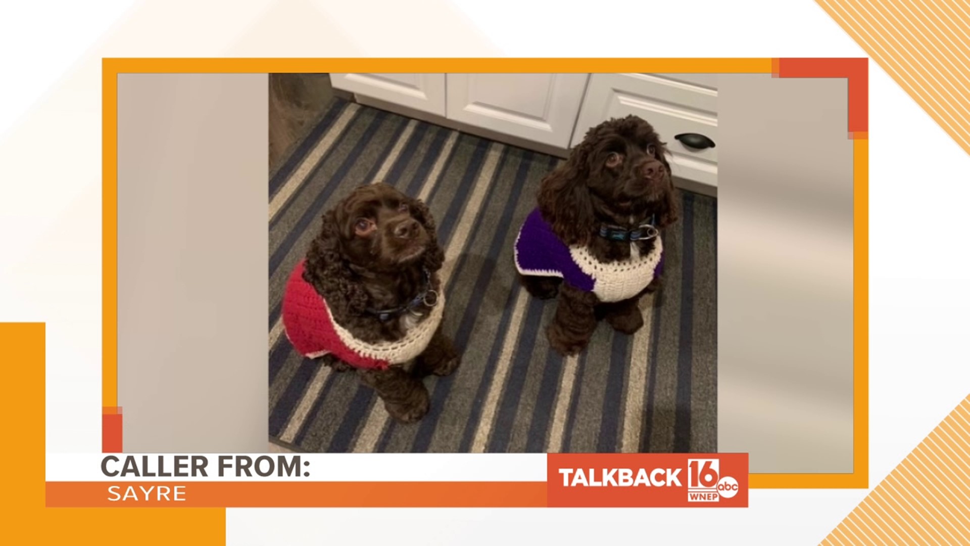 Callers are commenting on holiday treats, well wishes, and the pups of Newswatch 16.