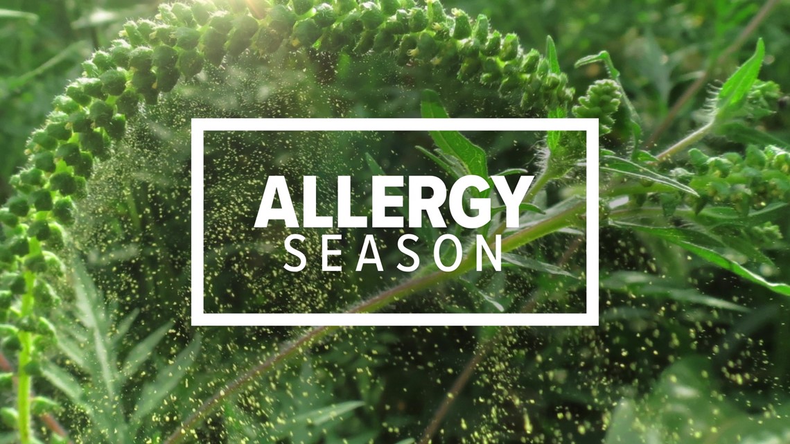 Sneezing and sniffling as allergy season begins