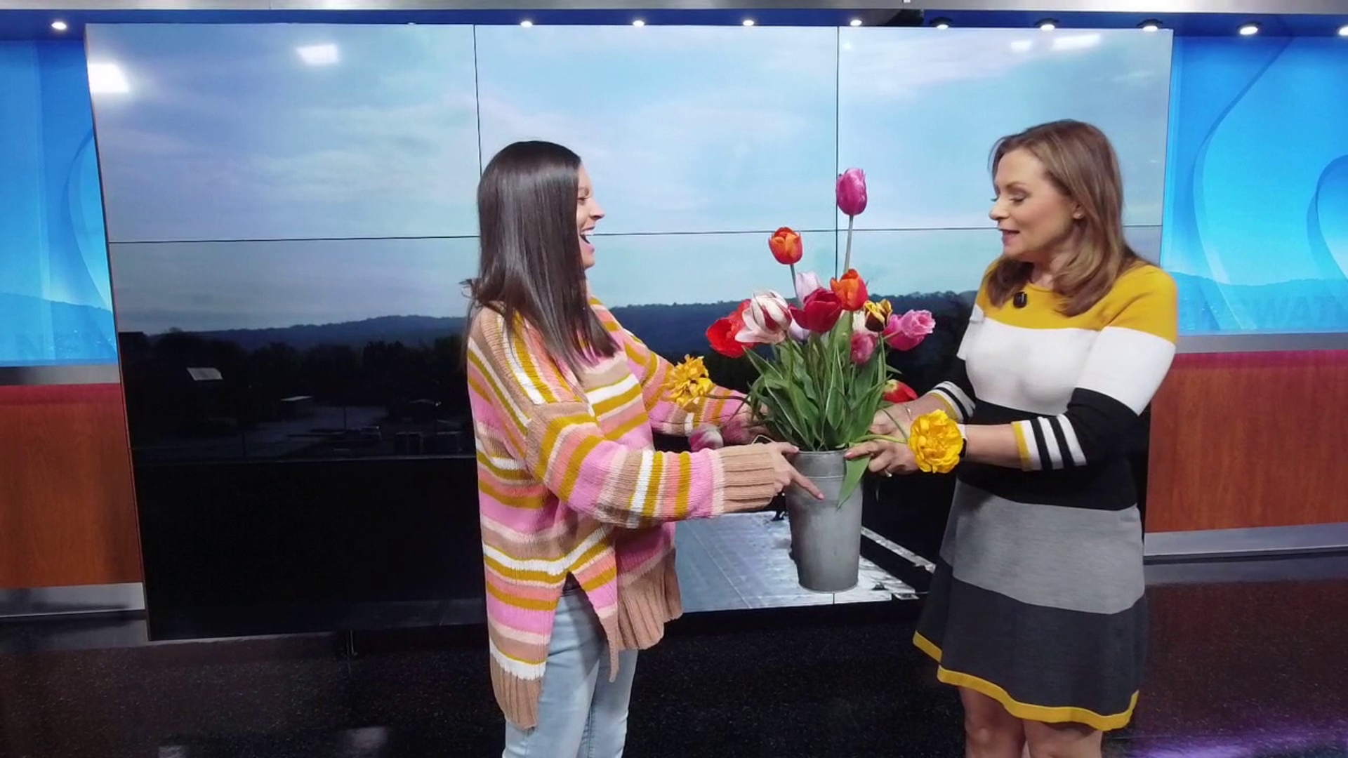 Meteorologist Ally Gallo takes over the airwaves with this exclusive WNEP+ forecast.