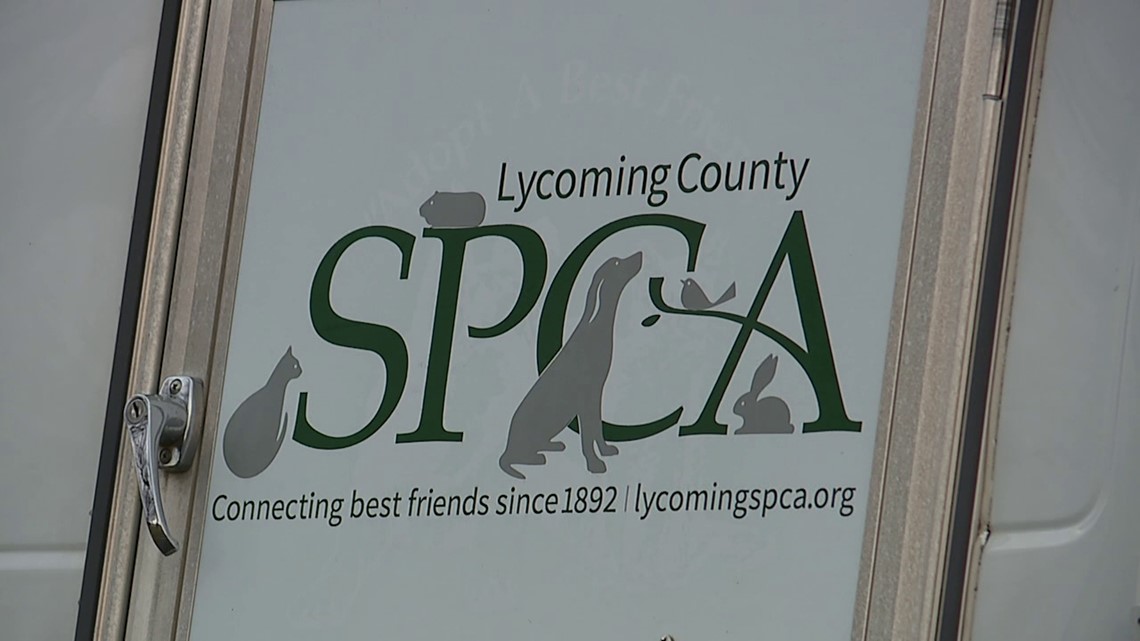Lycoming SPCA close dog kennels due to parvovirus outbreak