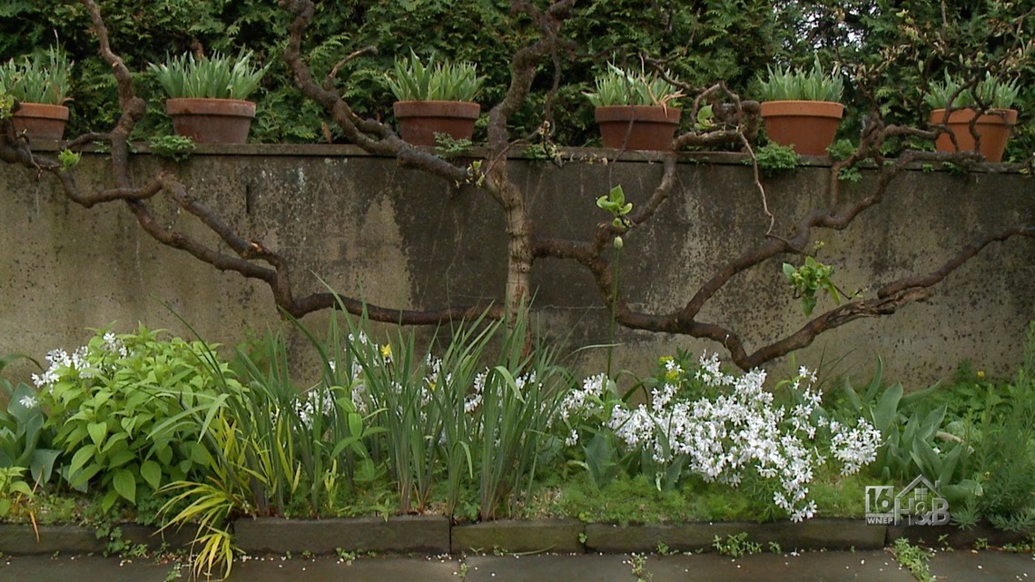 Must See Floral and Landscape Ideas From Chanticleer Gardens