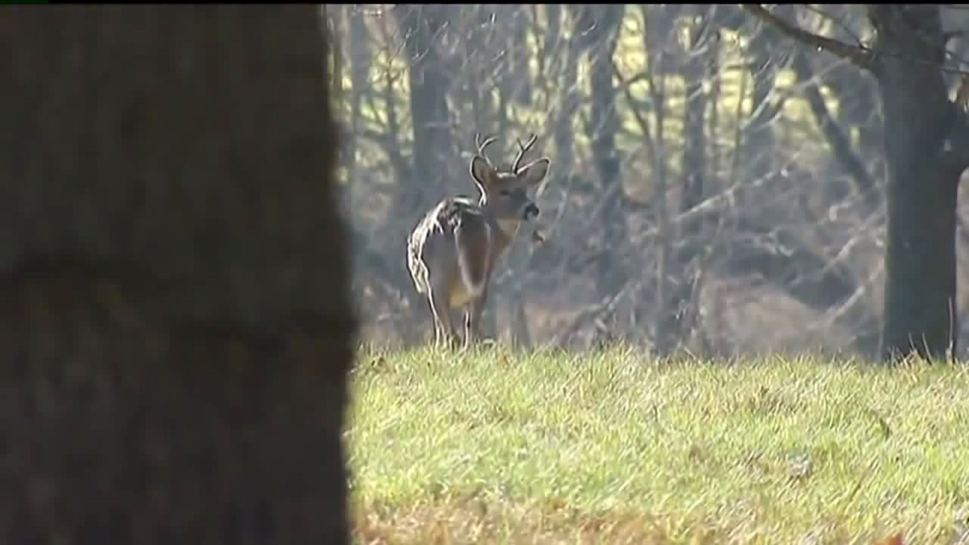 More Changes Could be Coming for Pennsylvania Hunters