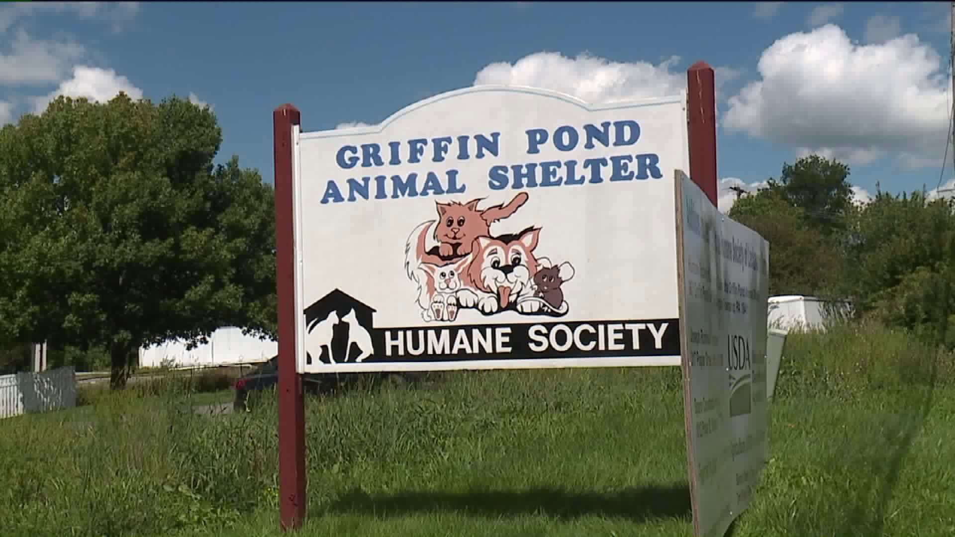 Griffin Pond Animal Shelter Director Suspended