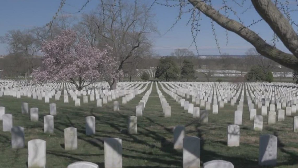 Honoring the fallen: A Memorial Day tribute - Vimarsana News