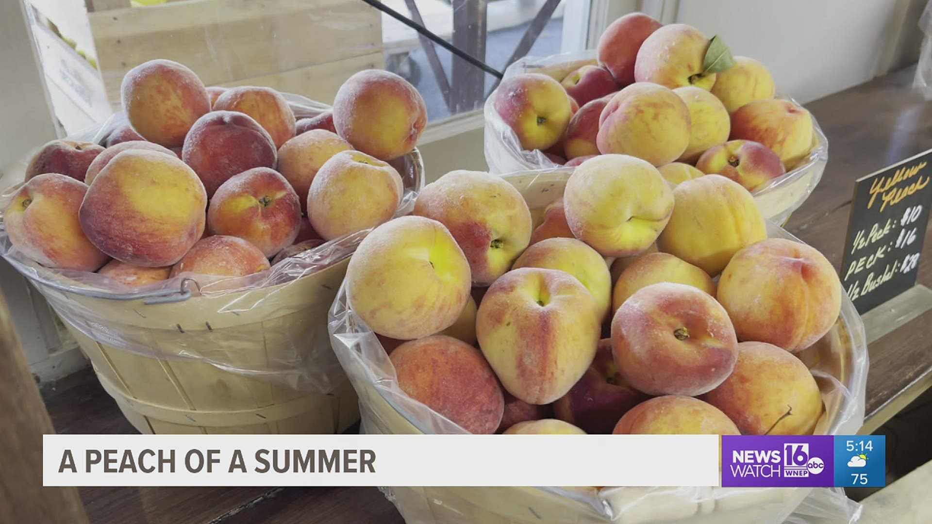 This spring included a few close calls for farmers, but now that it's almost harvest time, peach farmers say Mother Nature has sided with them this year.