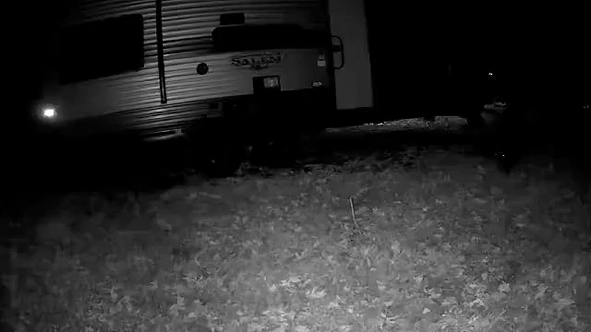 Just a bear walking by my camper.
Credit: William Keys jr.