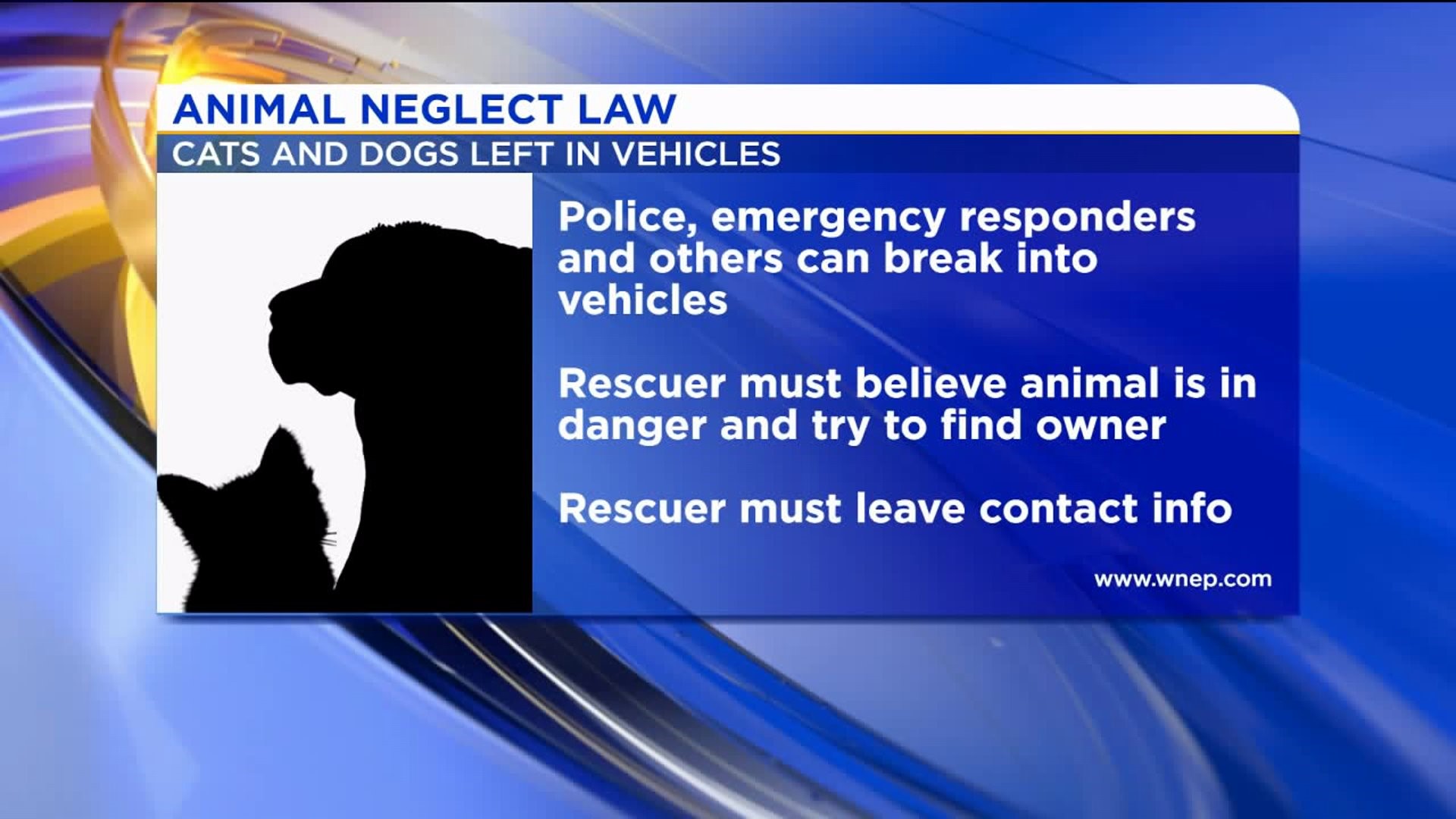 New Law Allows First Responders in Pennsylvania to Break Into Your Car to Save Pets
