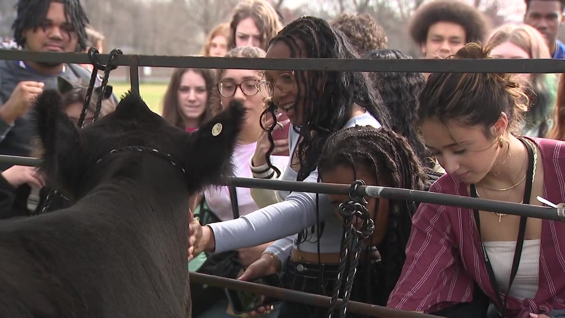 Newswatch 16's Amanda Eustice takes us to Agricultural Day at Stroudsburg High School.
