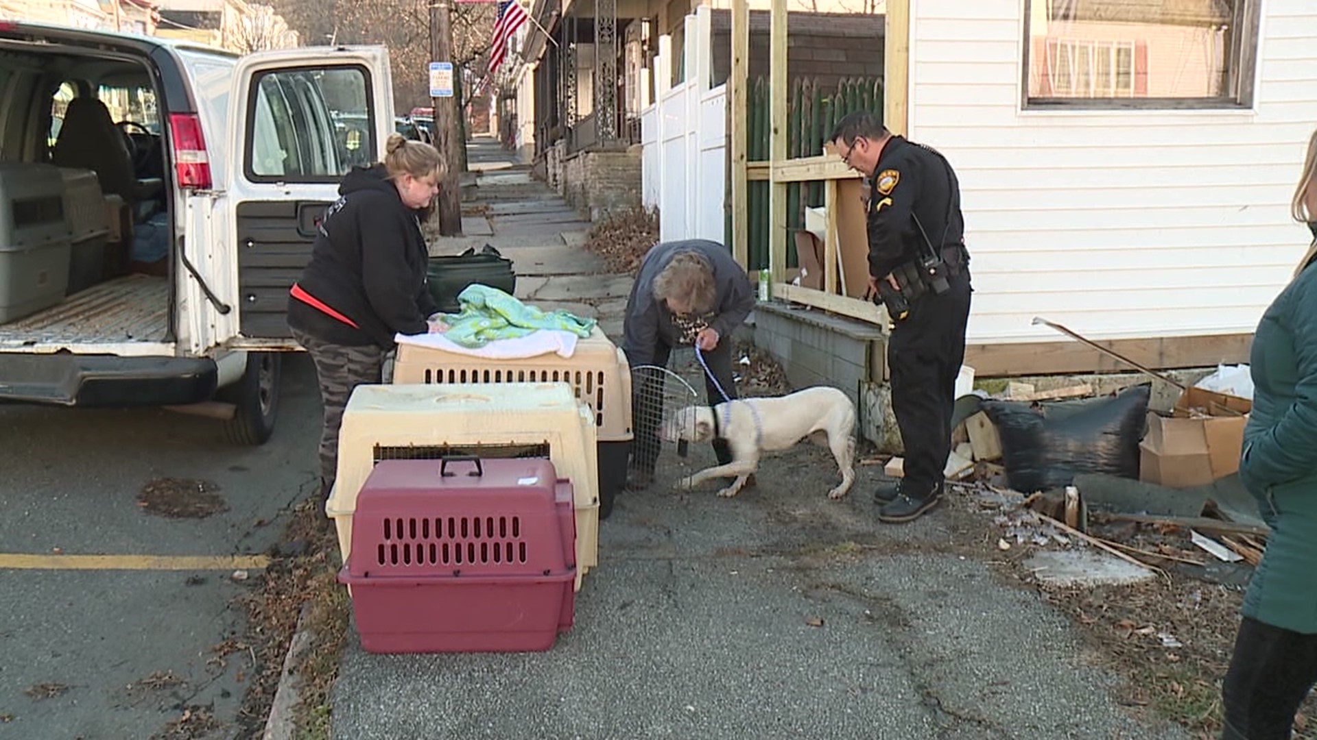 Officers removed dogs removed from a home in Schuylkill County after the owner allegedly tried to set one of the animals loose to attack them.