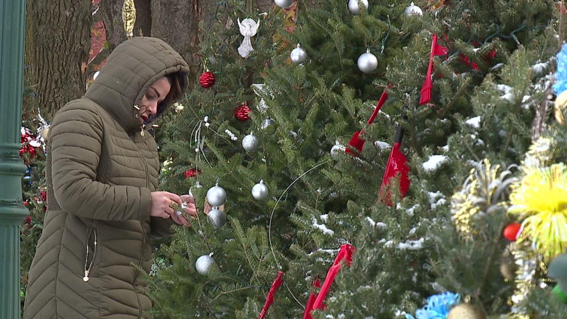 When it comes to decorating Carbondale for Christmas, it's a community effort.