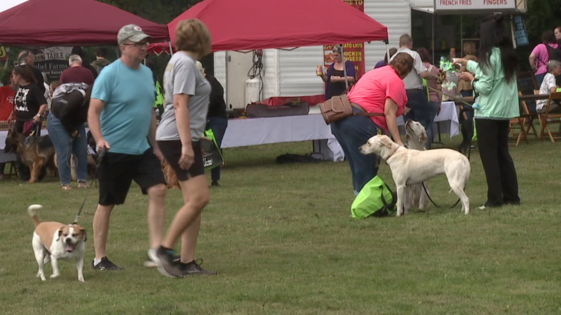 Skook News - Your #1 Source for Schuylkill County News: Bark in the Park to  Take Place This Sundaydy at Locust Lake