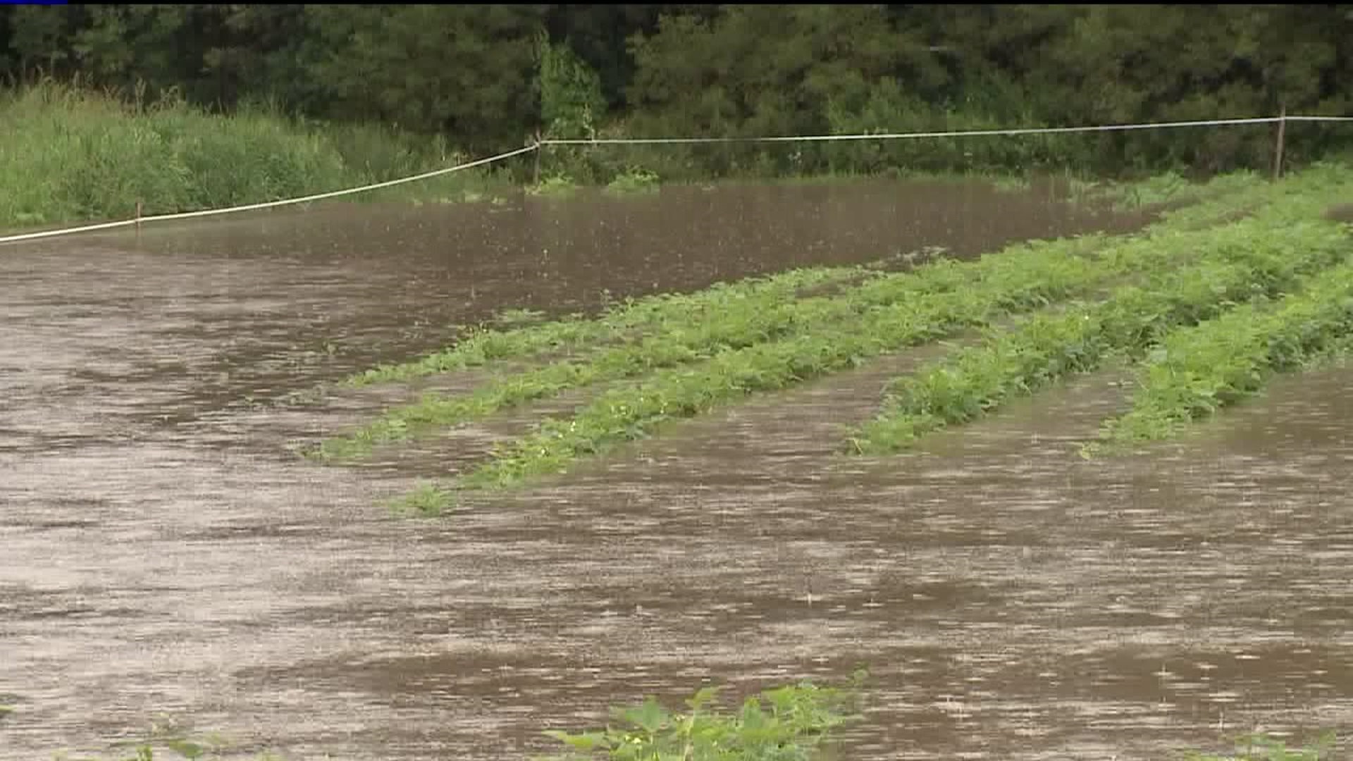 As River Level Rises, Farmers Rush to Save Crops