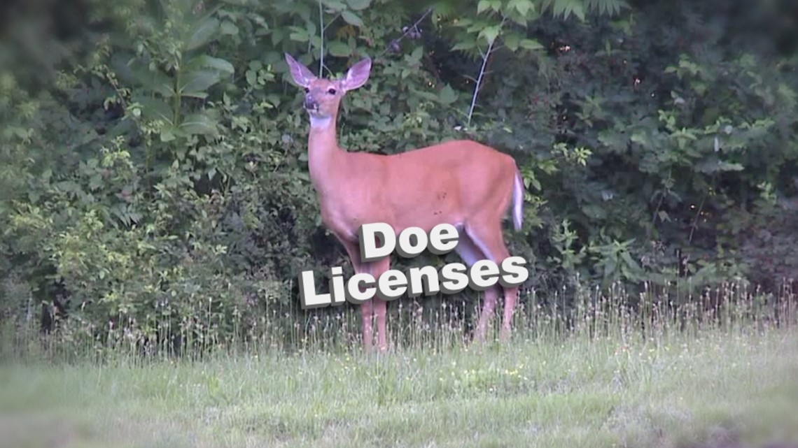 Bill to allow antlerless deer licenses online in PA