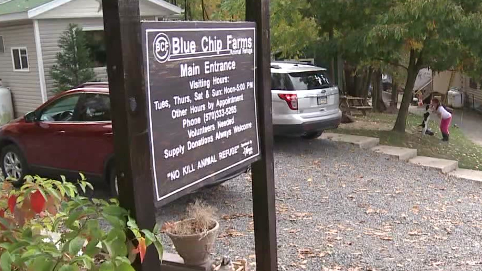 Blue Chip Farm Animal Refuge in Luzerne County closed its doors last week after a virus impacted 25 percent of the dogs at the shelter.