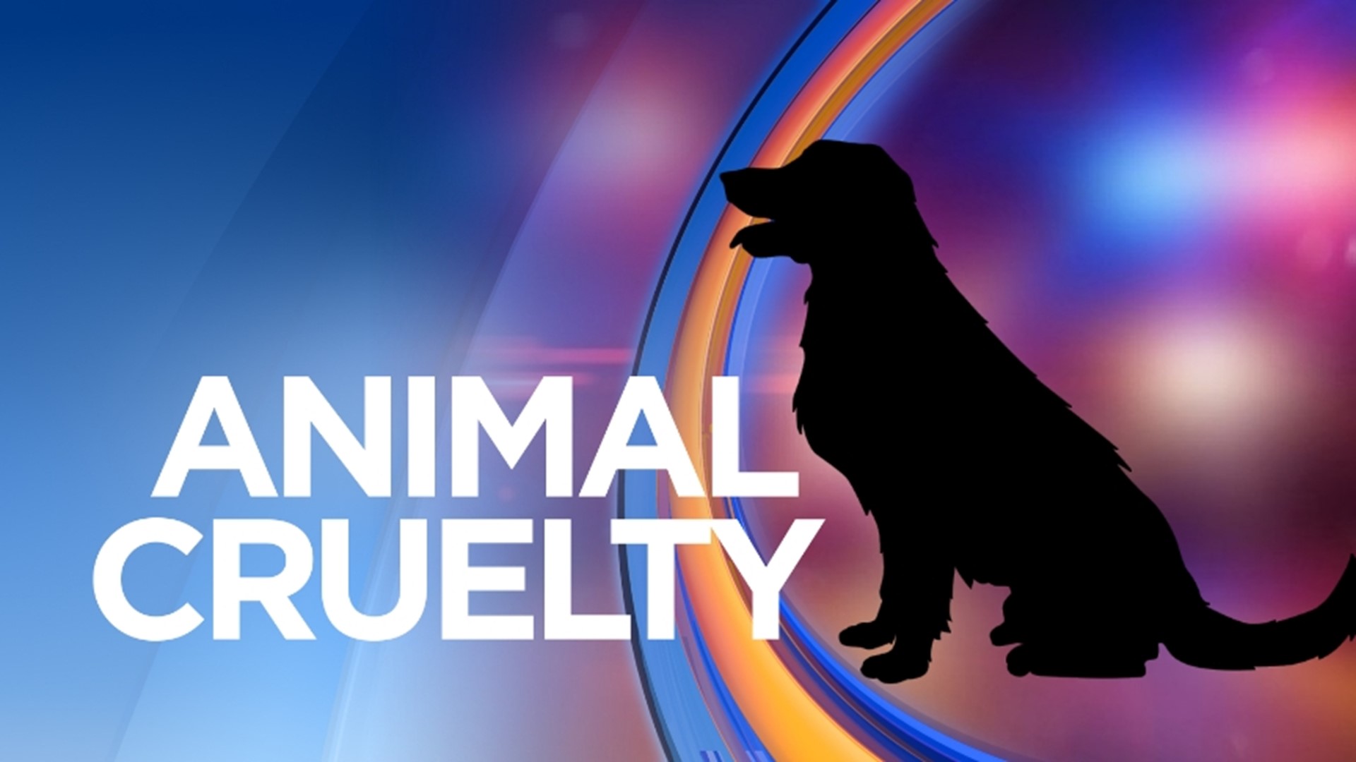 Stahl faces four counts of animal cruelty and 26 counts of animal neglect.