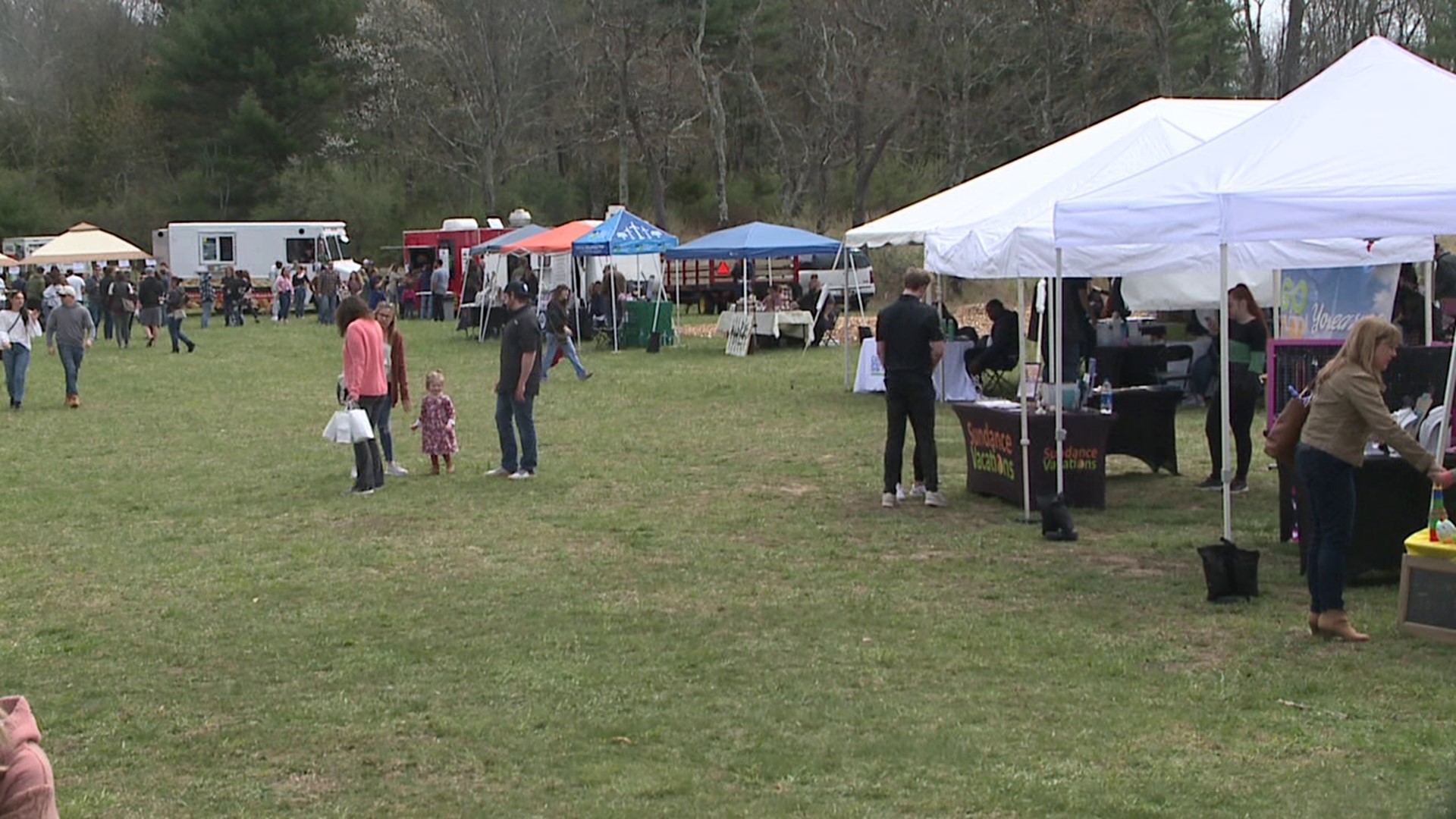 The food truck festival was held at Mountain View Vineyard from 12 p.m. to 5 p.m. Saturday.