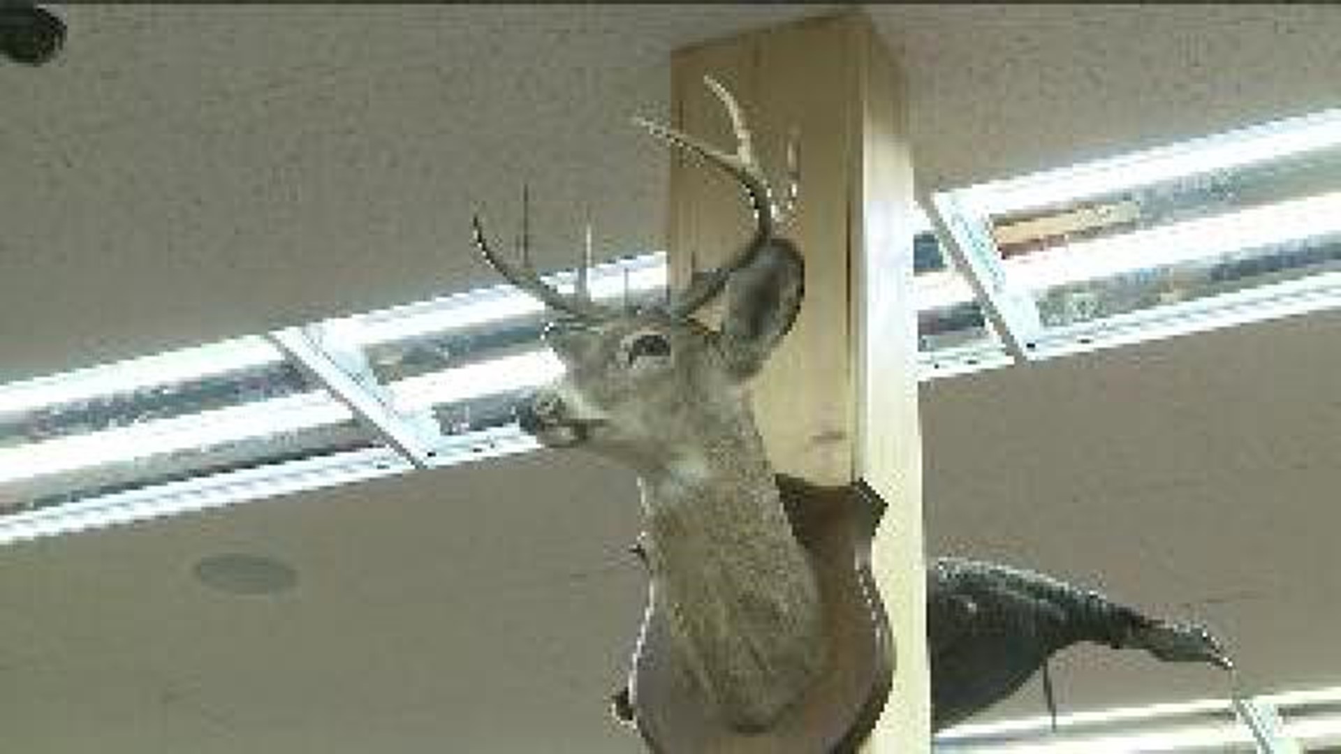 Hunters Prepare For Deer Season