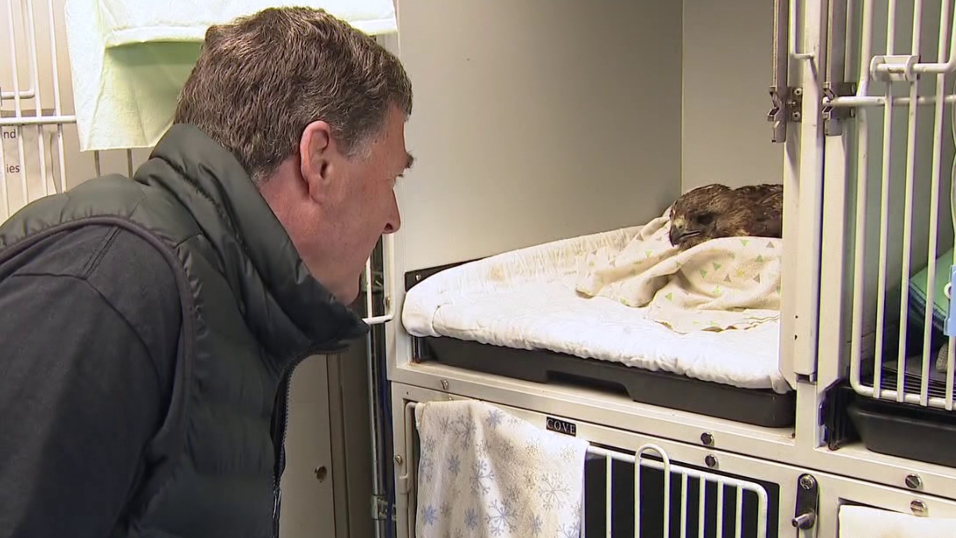 It's a reunion more than 25 years in the making; a bird banded nearly three decades ago was reunited with the man who did the job.