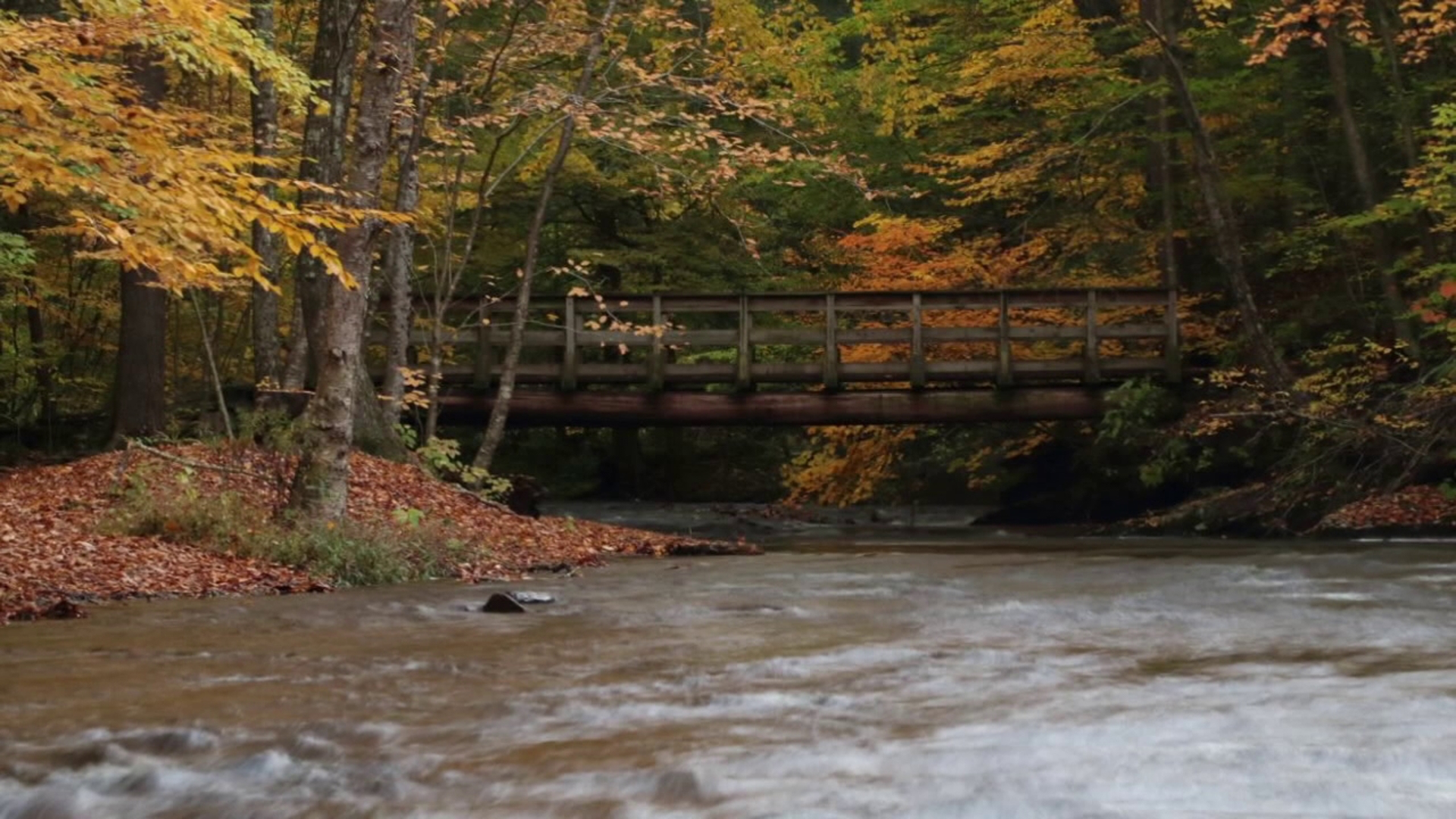 Autumn's bridge | PhotoLink Library | wnep.com