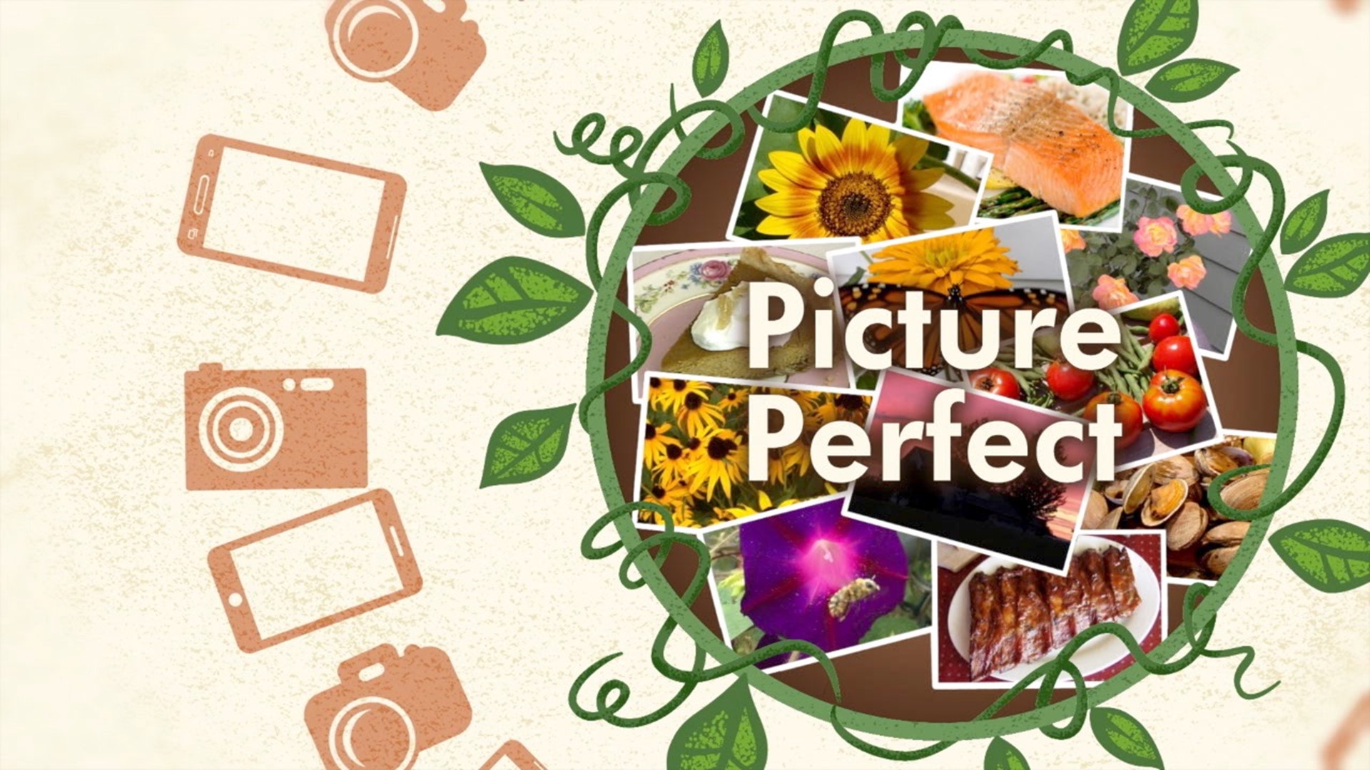 Picture Perfect: 5/30/2020