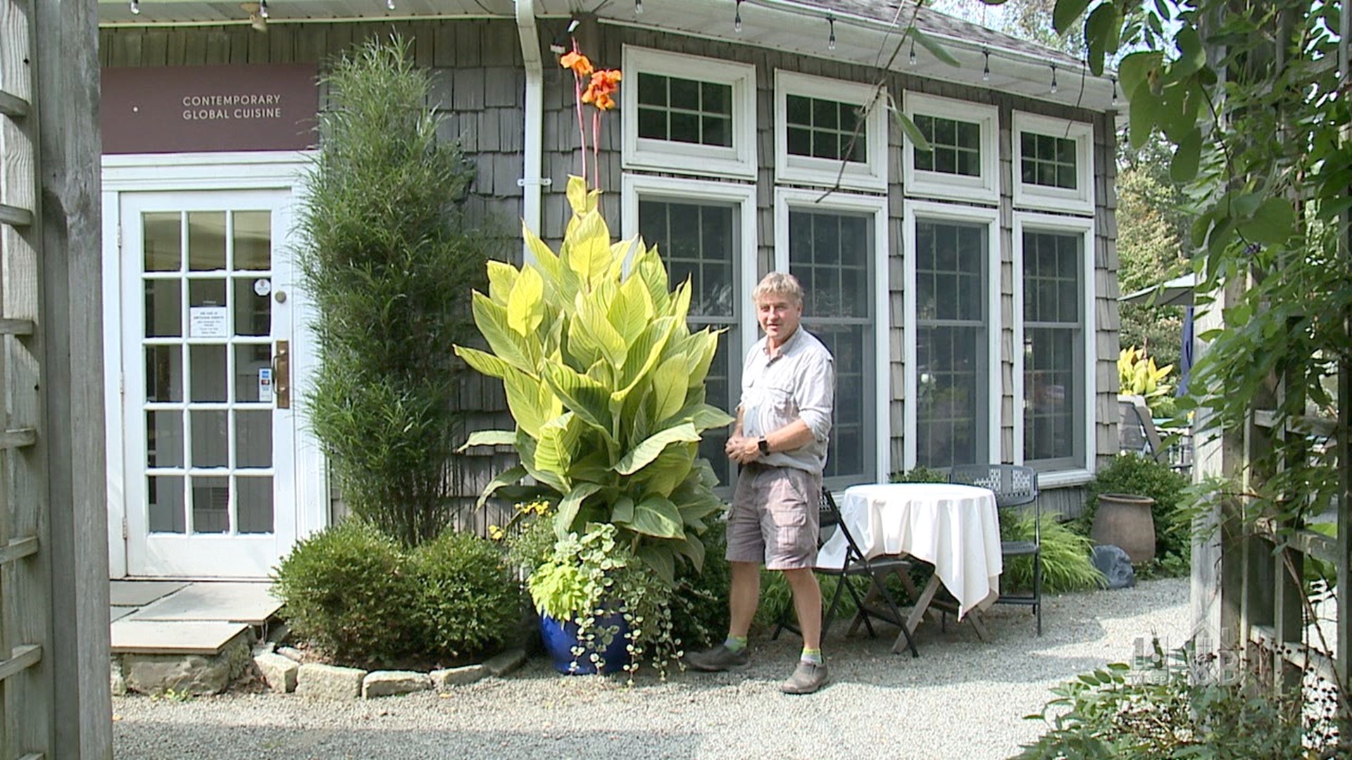 The Planter That Became A Giant