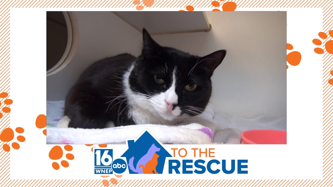 16 To The Rescue: Bella