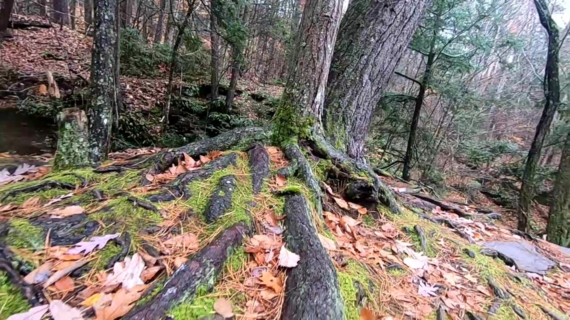 Ricketts Glen On the Pennsylvania Road - Vimarsana News