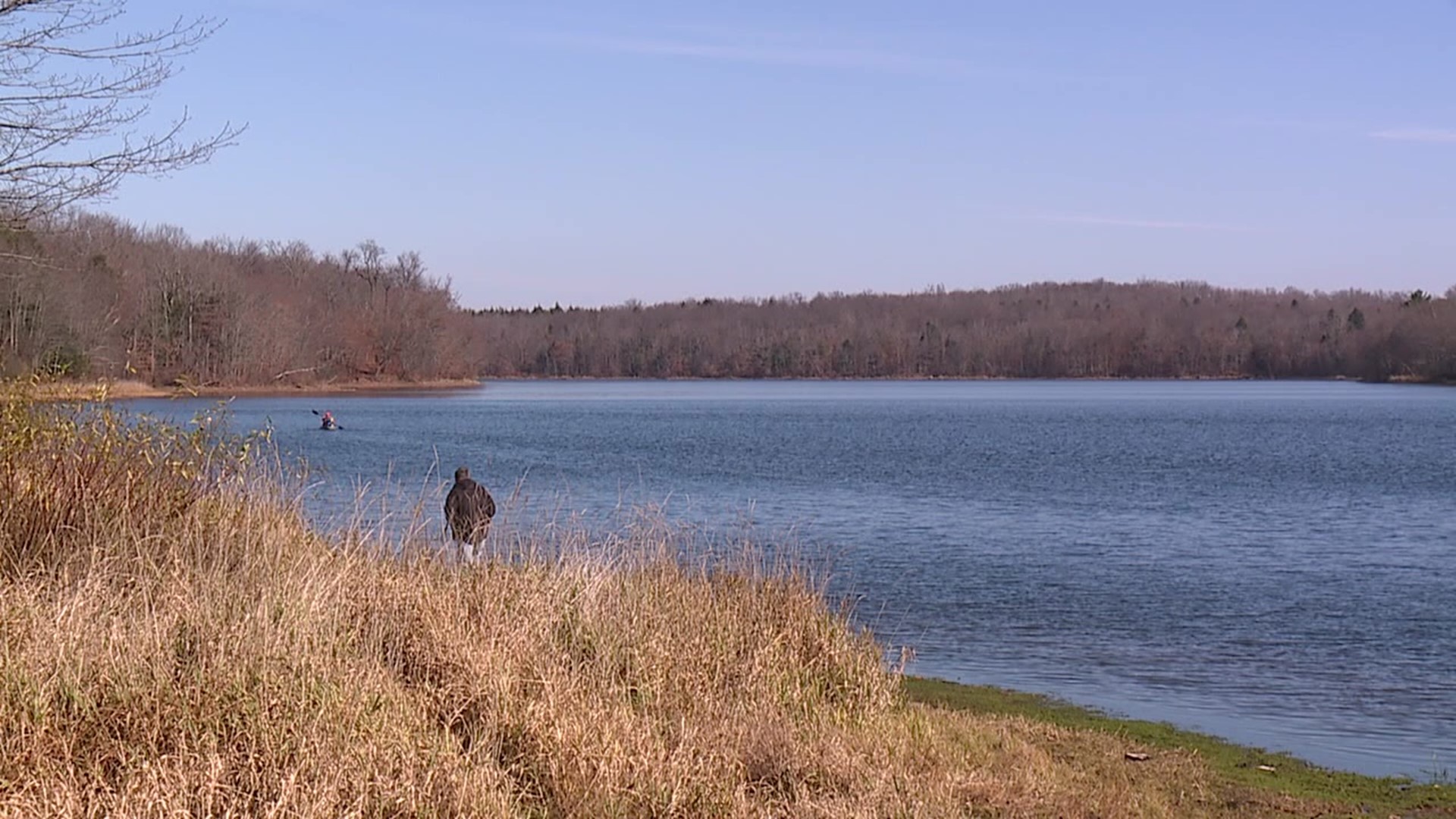 A high number of contaminated fish have been found in local waterways.