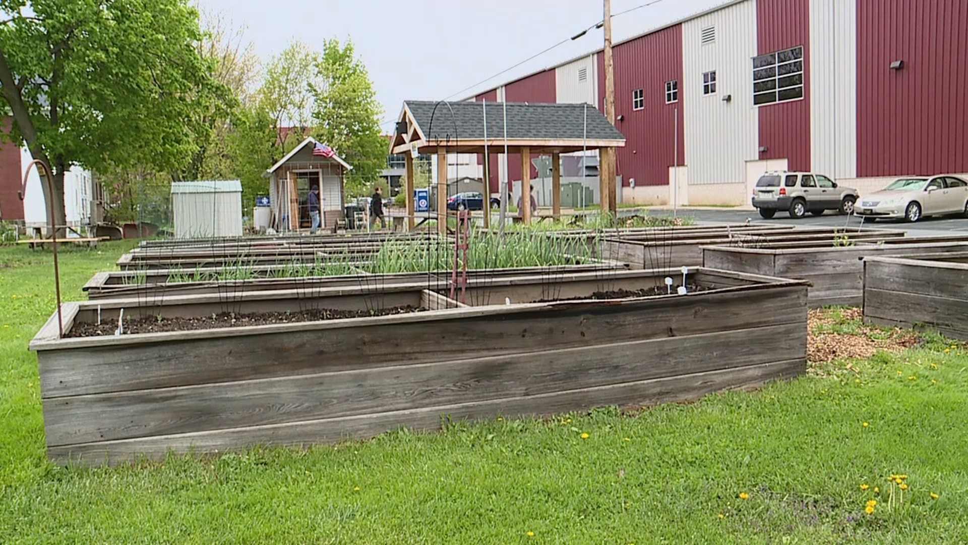 The urban farm in Williamsport has produced thousands of pounds of vegetables in a nearly 10-year span.