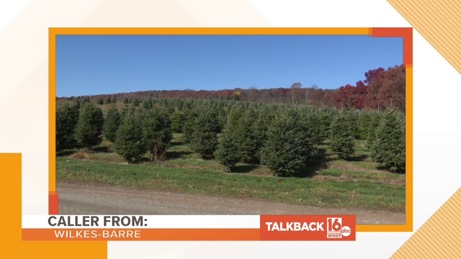 A caller from Wilkes-Barre thinks it's too early to be talking about Christmas trees.
