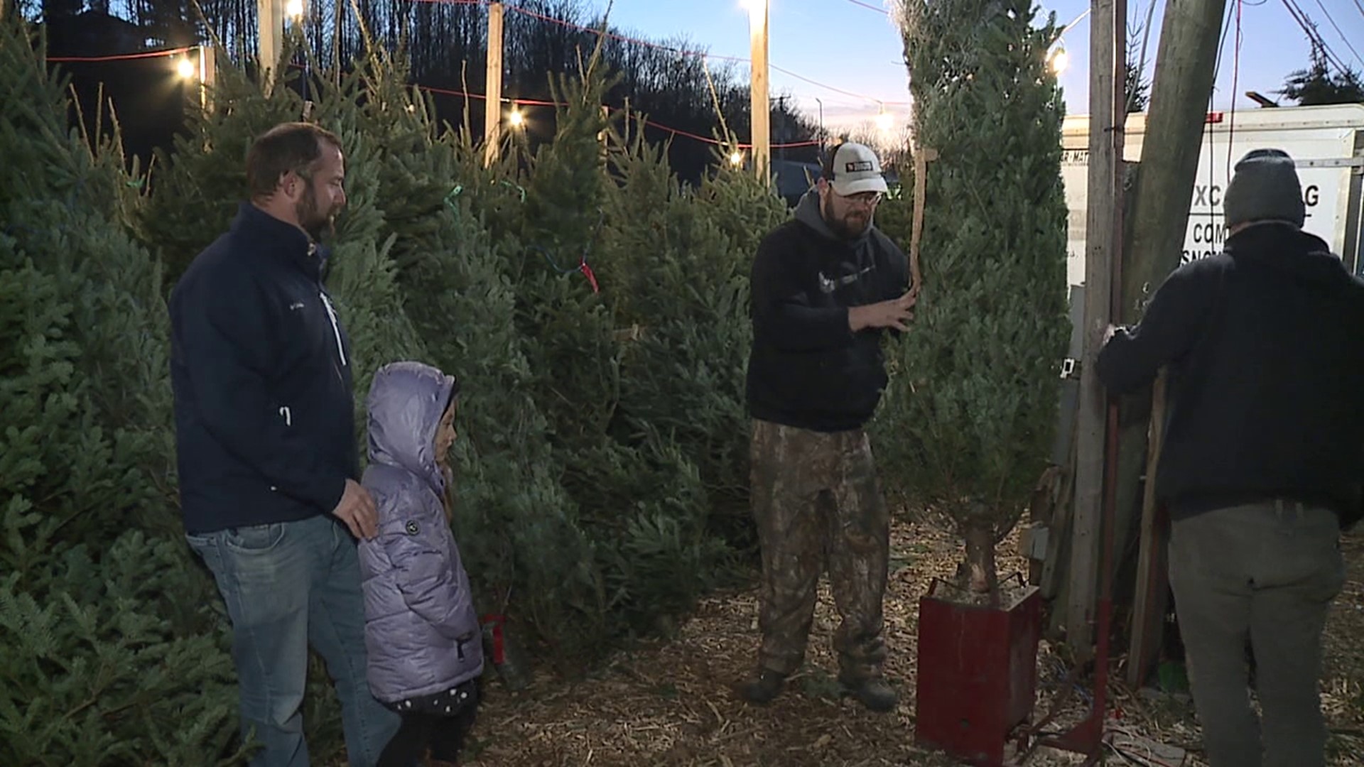 Newswatch 16's Courtney Harrison spoke with tree farmers about the challenges of getting to this point in the year and having enough trees to go around.