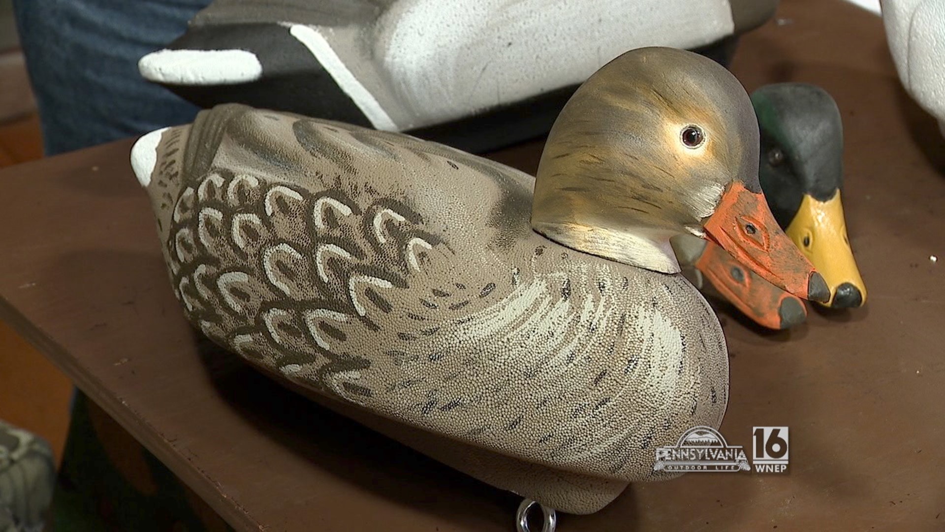 You could be the winner of some Meyer's Classic Decoys!