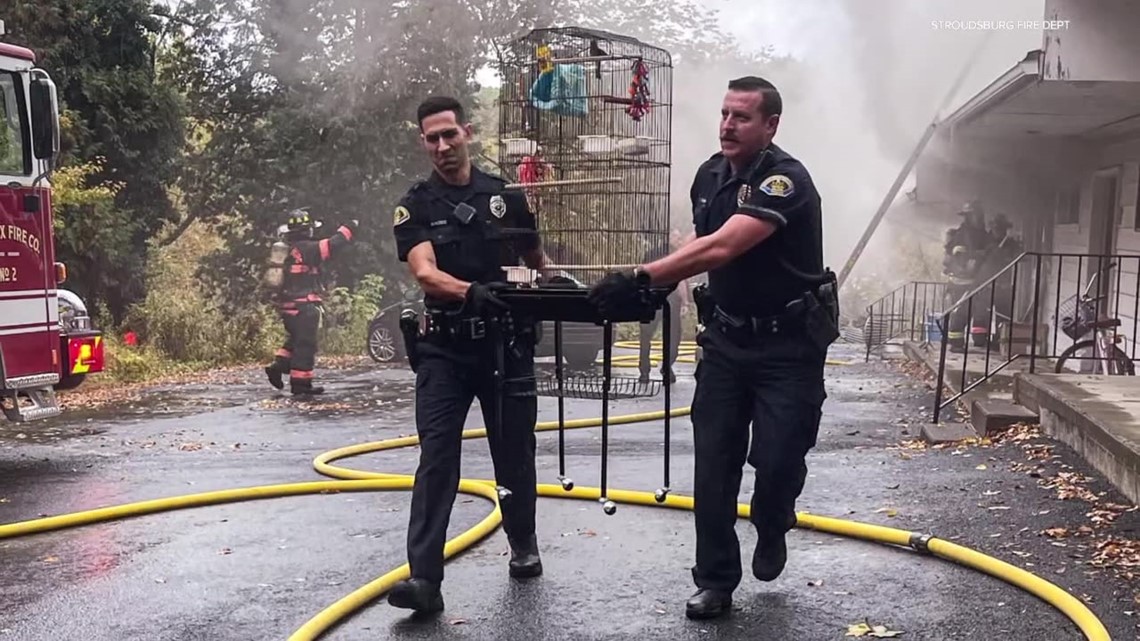 Firefighters Rescue Woman From Burning Stroudsburg Apartments | Wnep.com