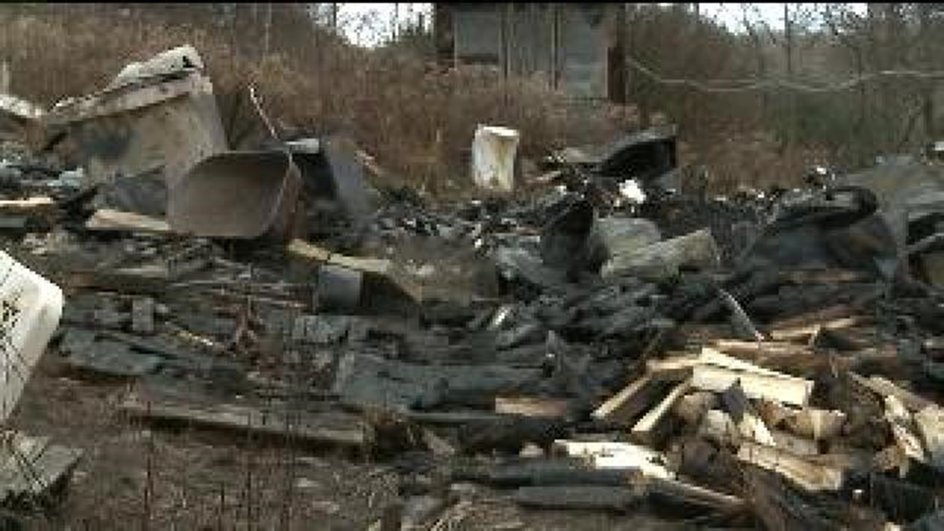 Eight Dachshunds Feared Dead After Fire