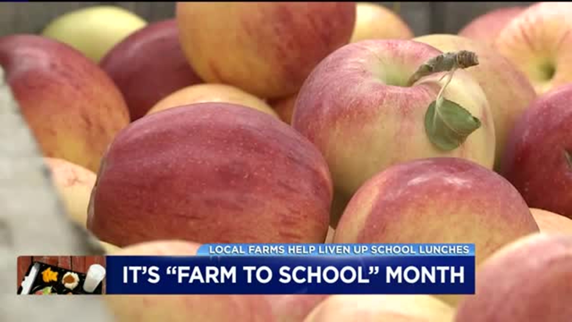 Local Farms Help Liven up School Lunches