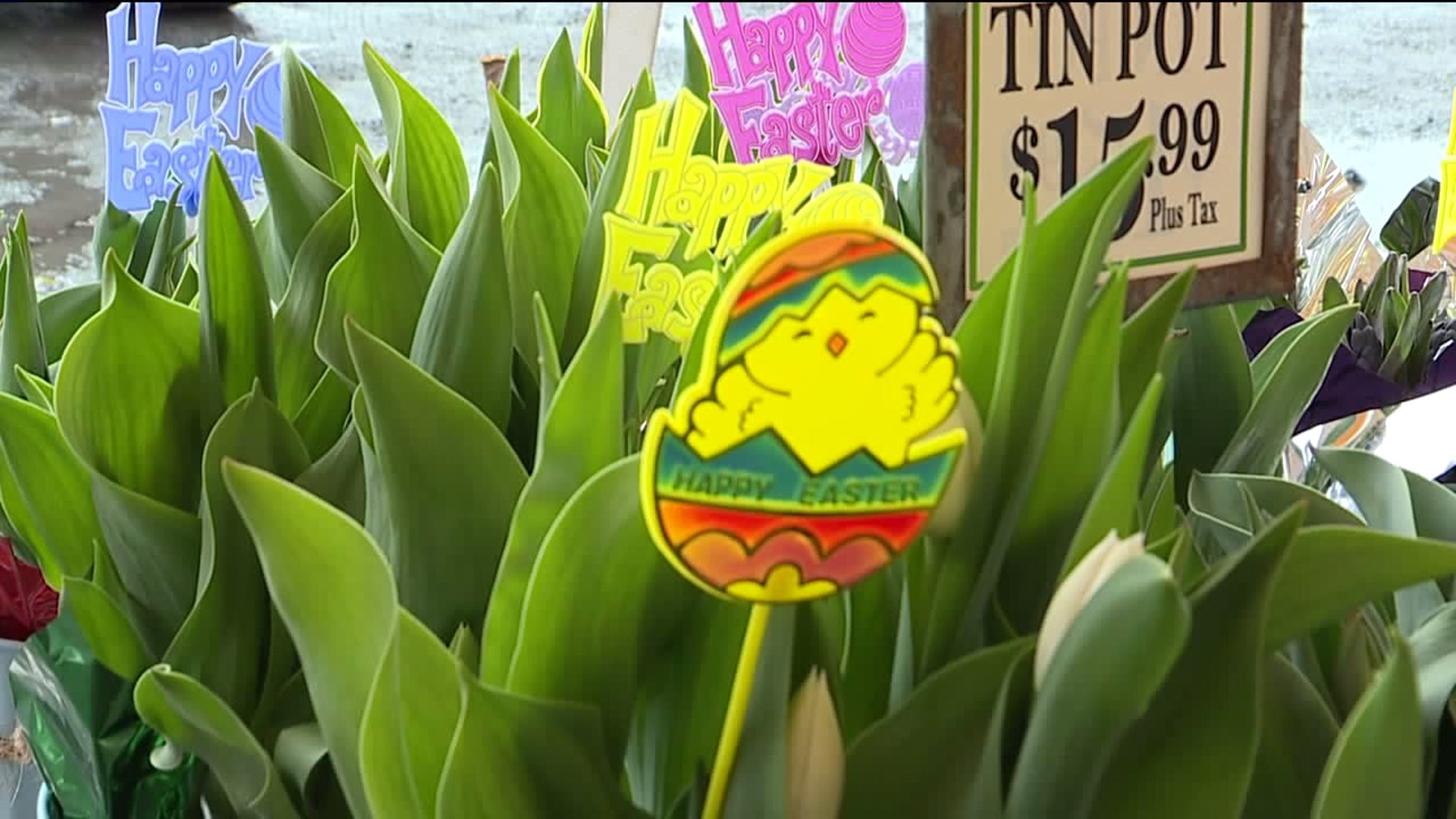 Easter Flower Tents Popping Up