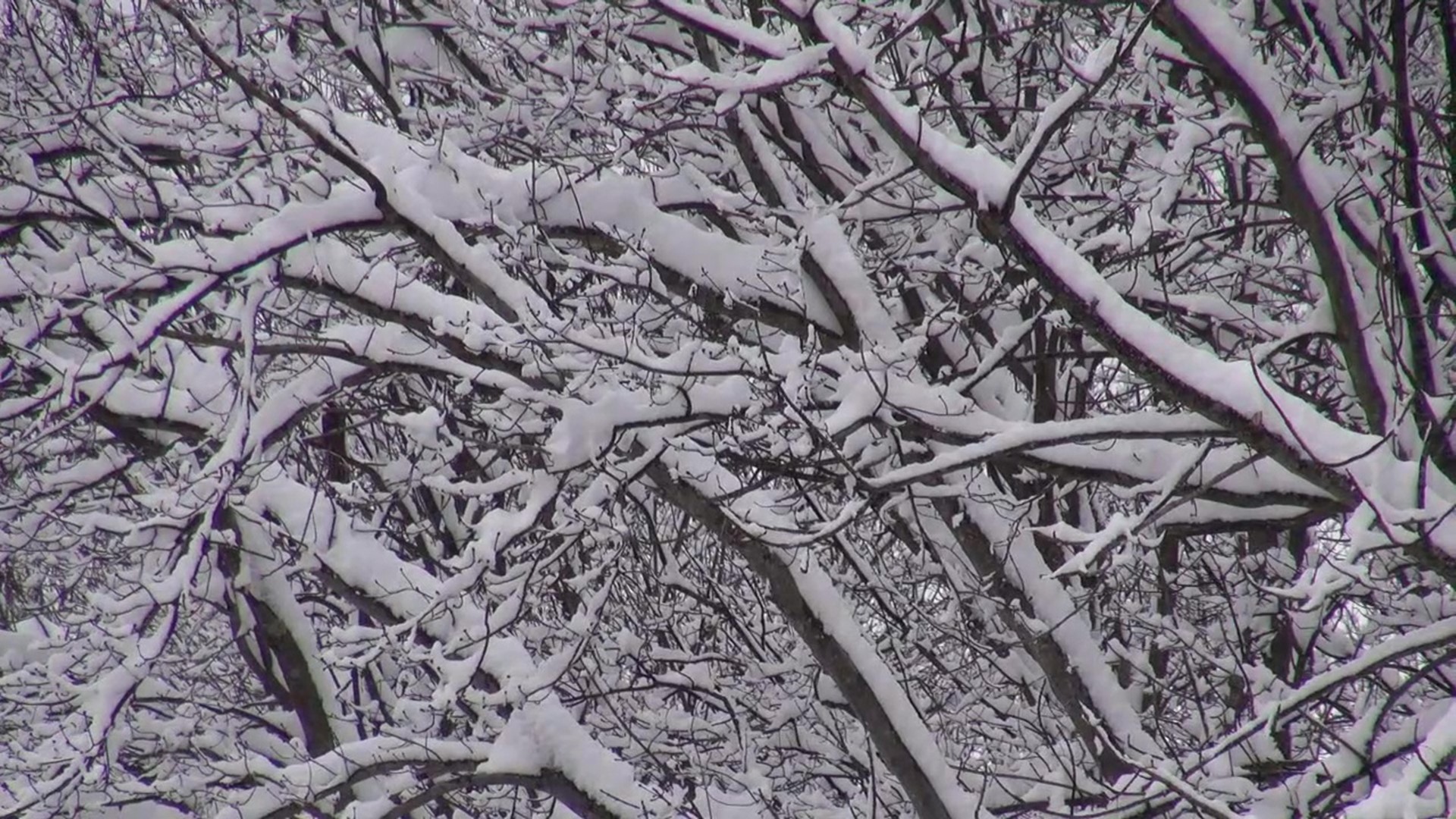 Parts of Wayne County got anywhere from 5 to 8 inches of snow, after snow fell all day on Sunday.