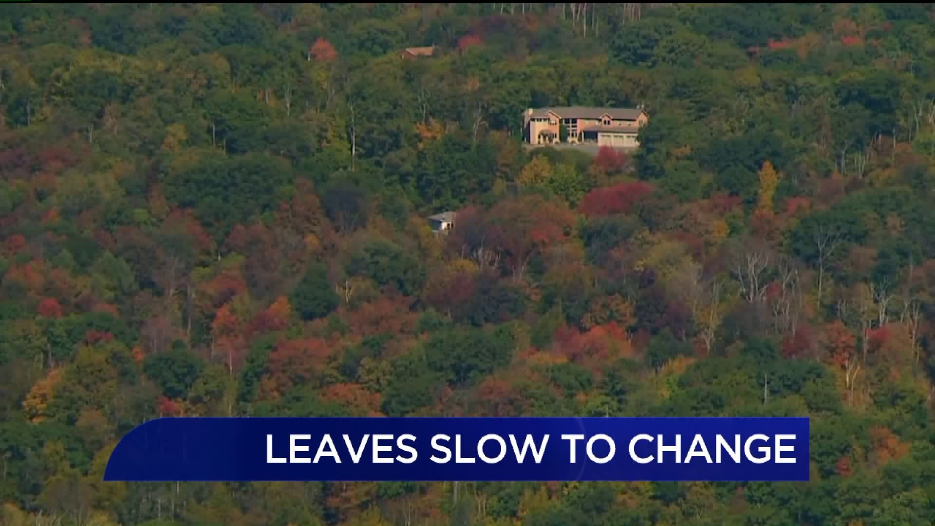 Leaves Slow to Change in Parts of NEPA