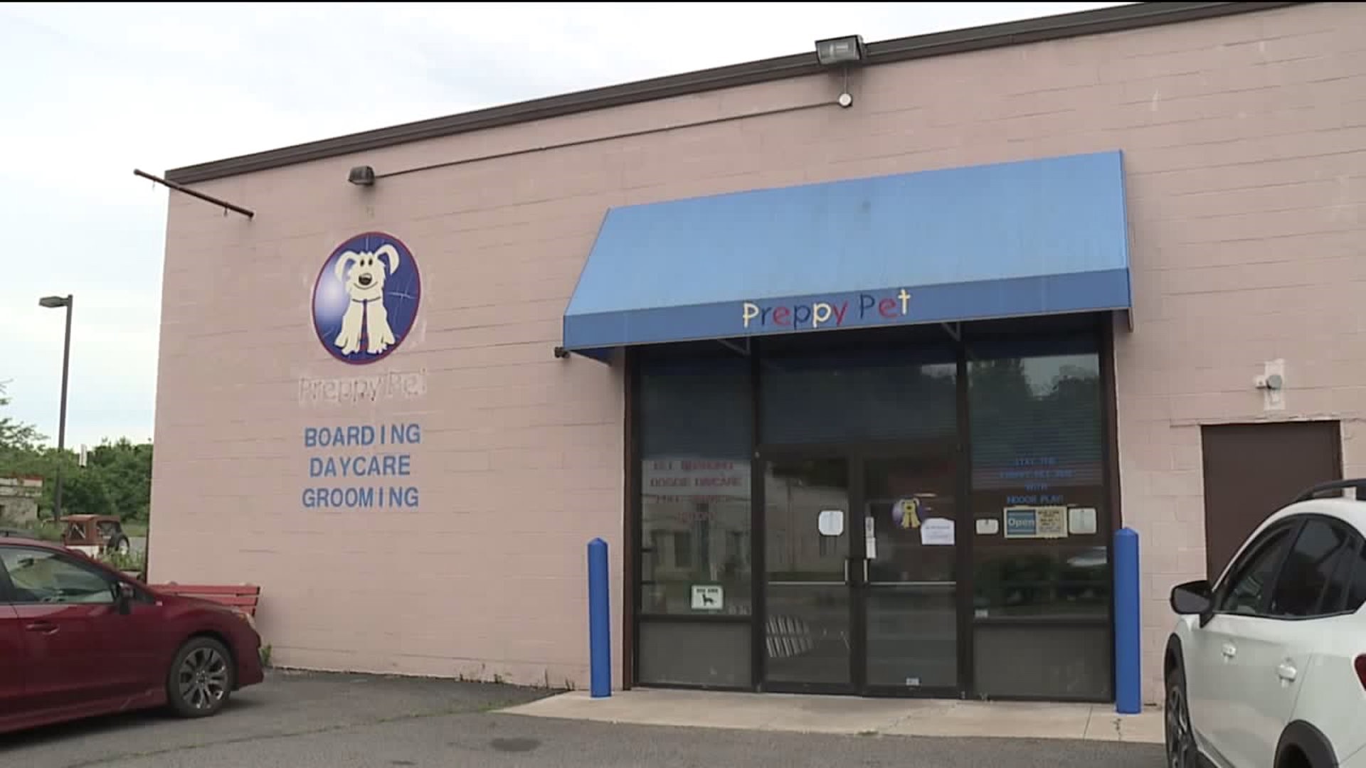 Pet Owners Scramble to Pick up Pets After Kennel Abruptly Closes