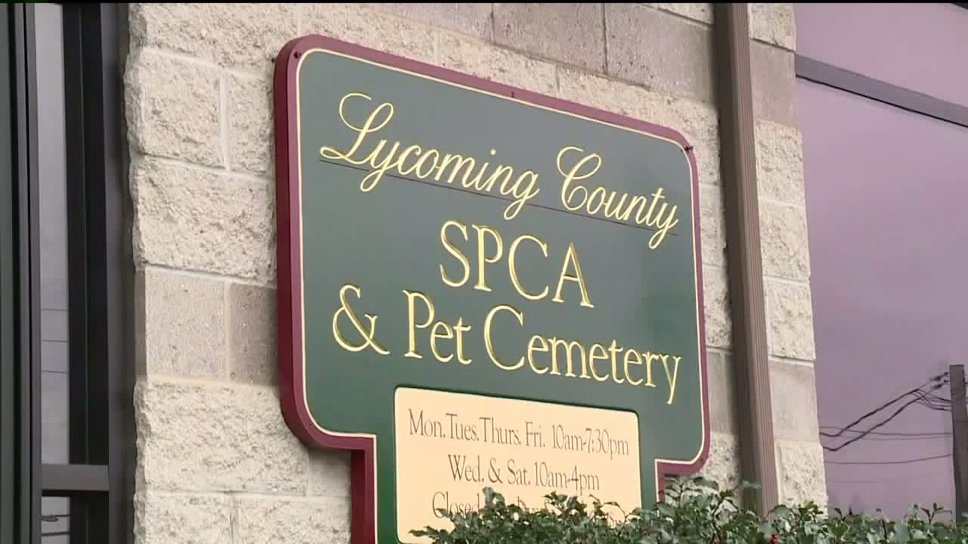 Making A Wish Come True for Furry Friends at Lycoming County SPCA