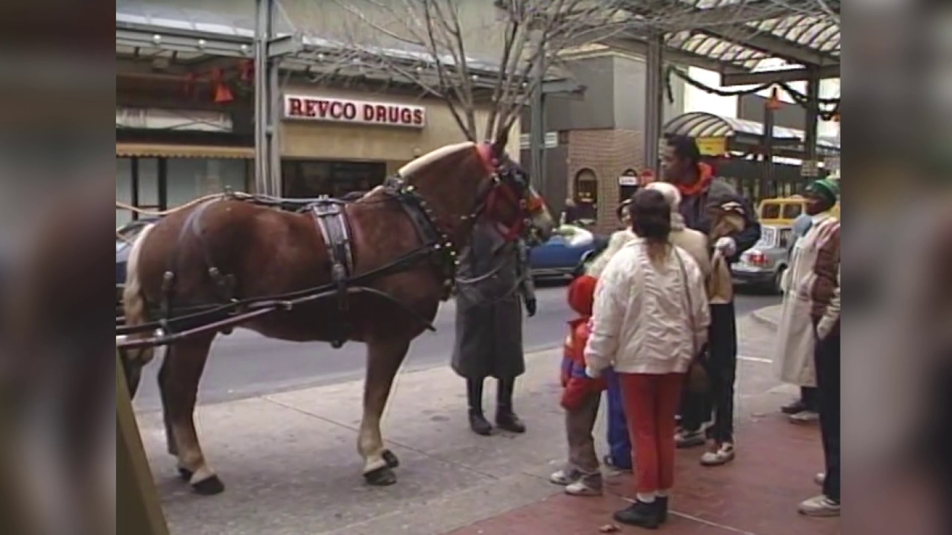 Mike Stevens takes us on a trip to Allentown to meet a horse named Theo in this trip Back Down The Pennsylvania Road.