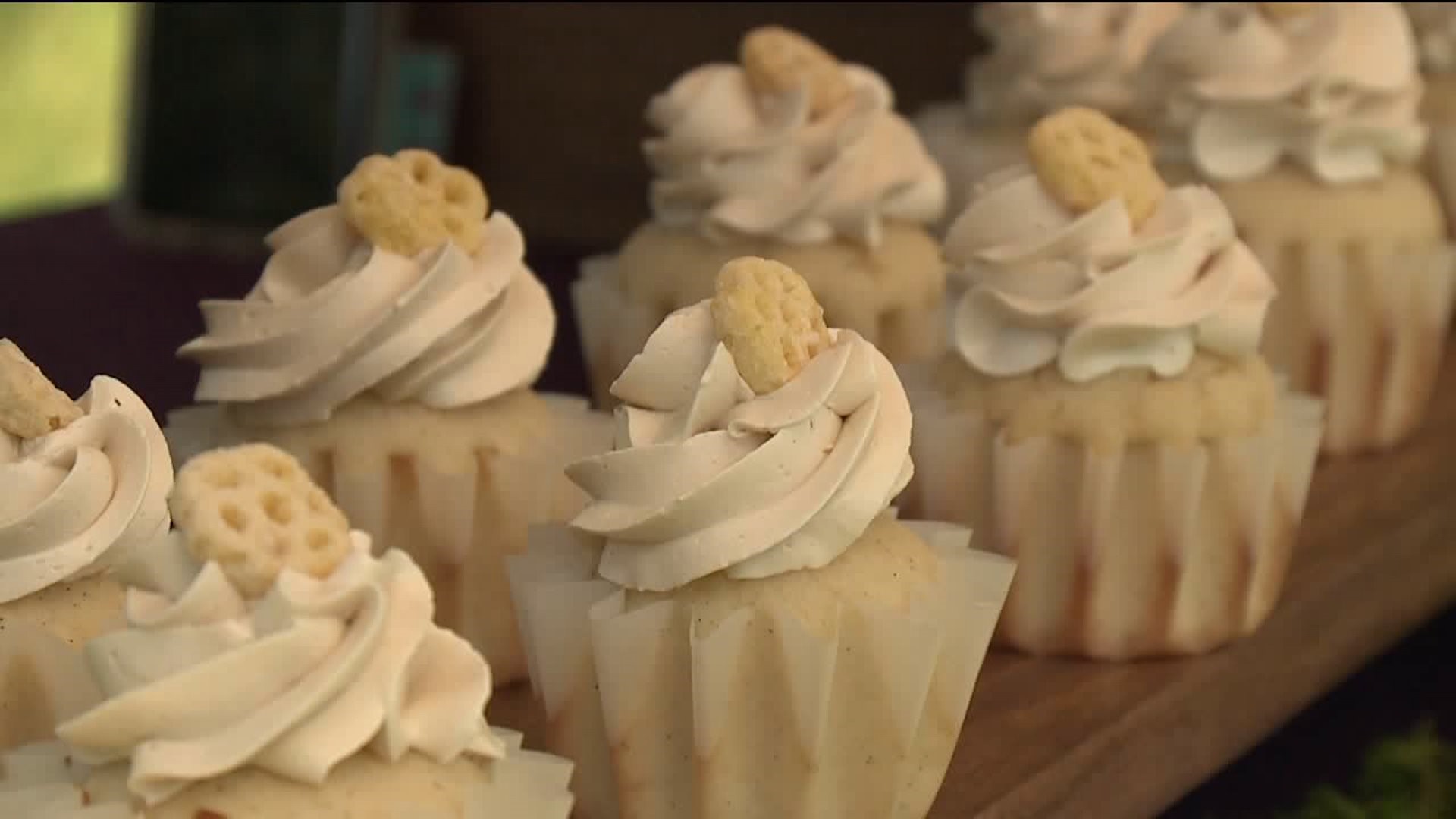 Cupcake Competition for a Cause