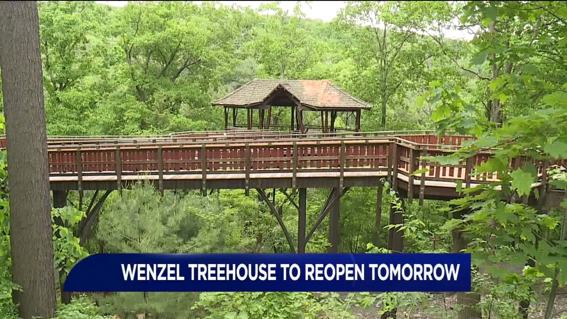 Treehouse at Nay Aug Park Set to Reopen