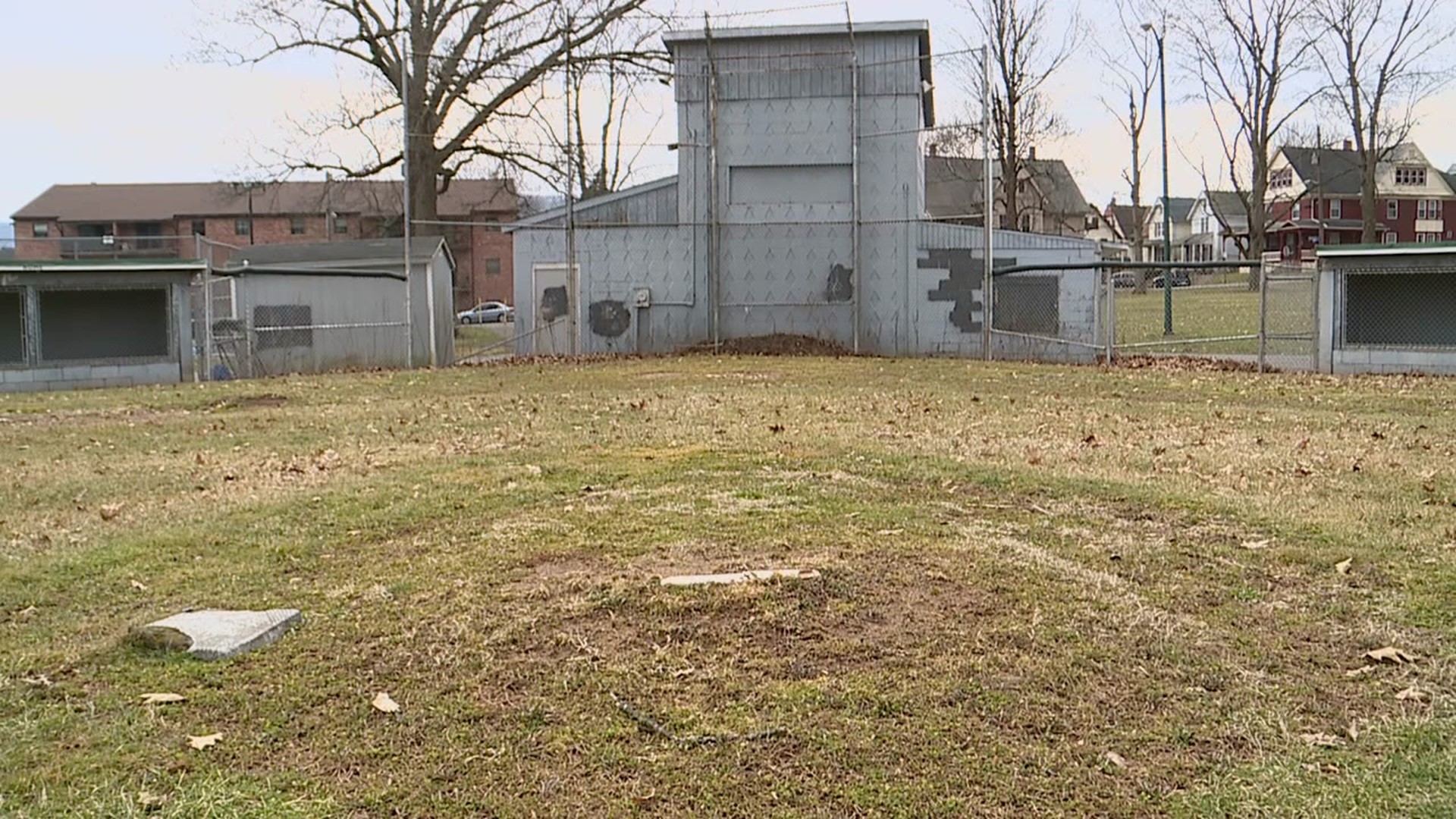 The baseball and softball fields in Brandon Park are being revitalized to return Little League events to the city.