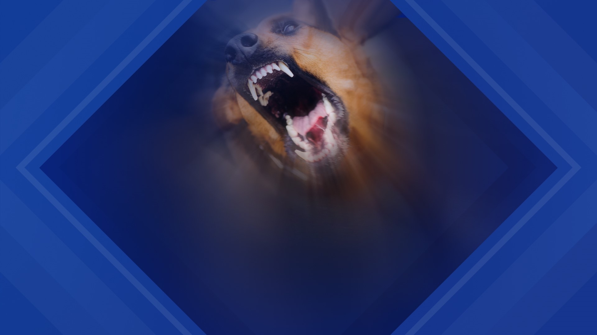 Two people were sent to the hospital with major injuries after a dog on Tuesday.