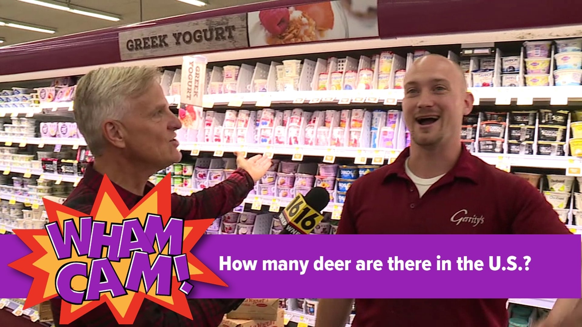 How many deer are there in the US? | Wham Cam